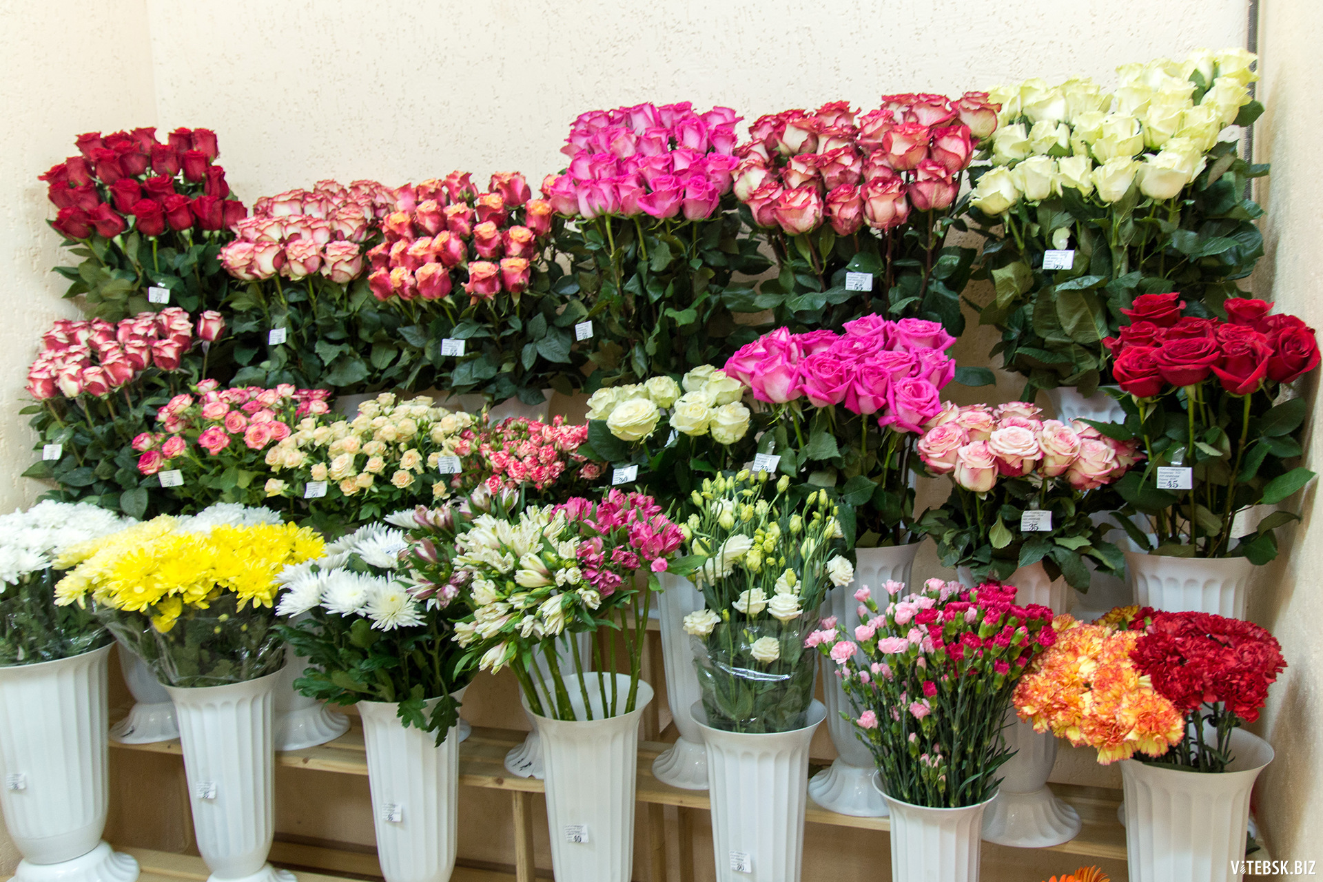 Недорогие Цветы В Подольске Где Купить