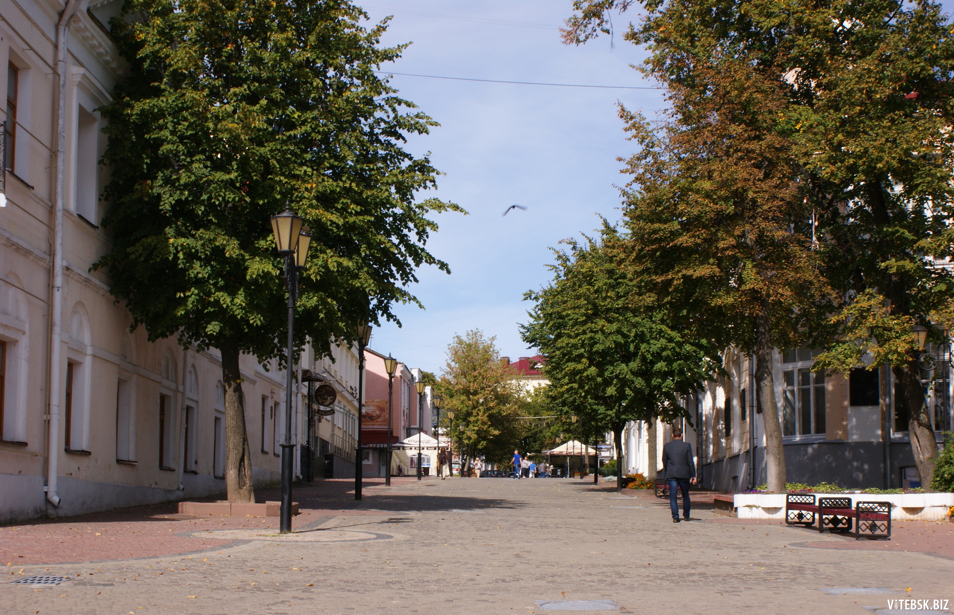 Вид на улицу Суворова