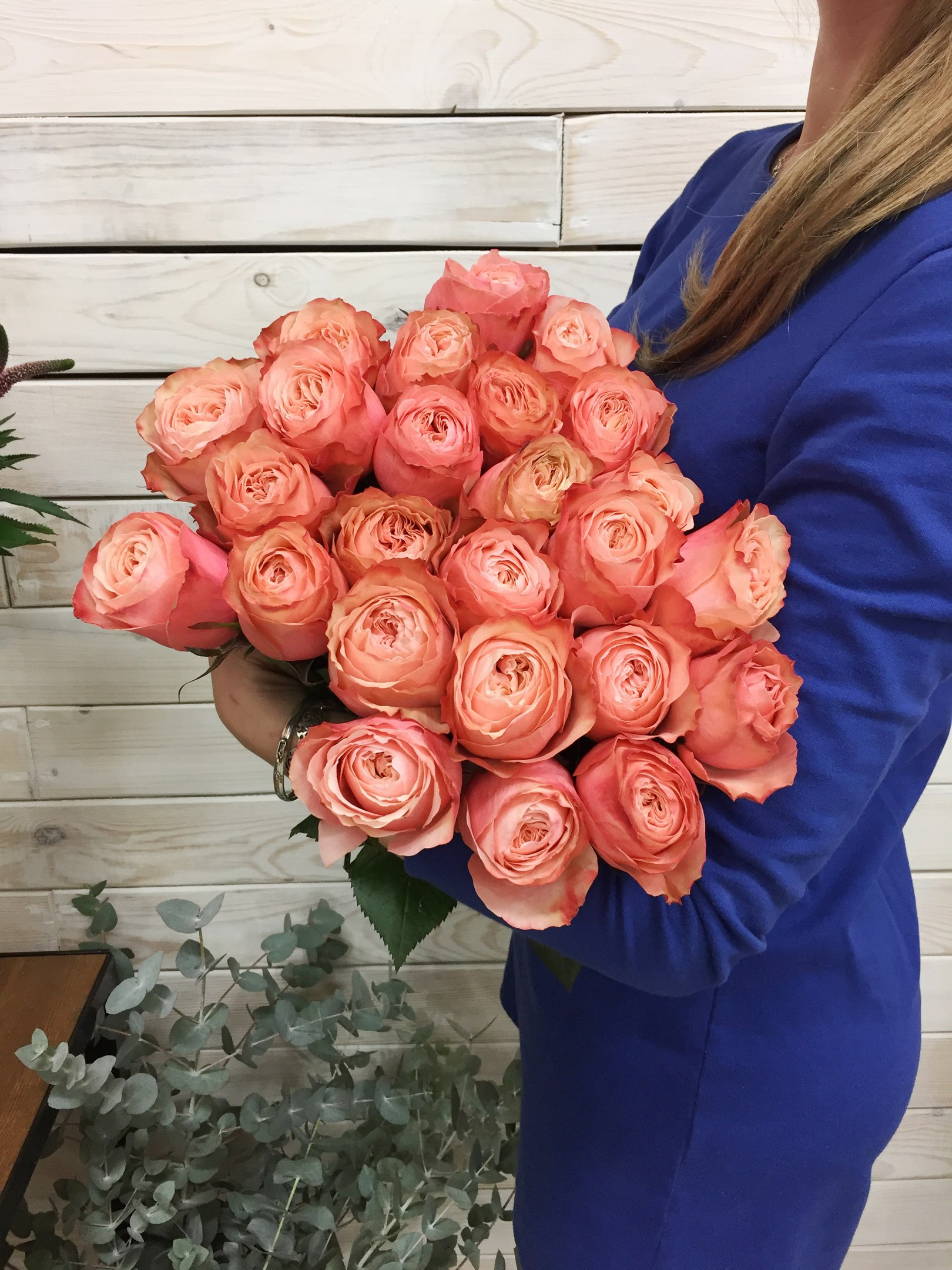 Купить розы в могилеве. Сорт розы Кахала. 25 Пионовидных роз Кахала.