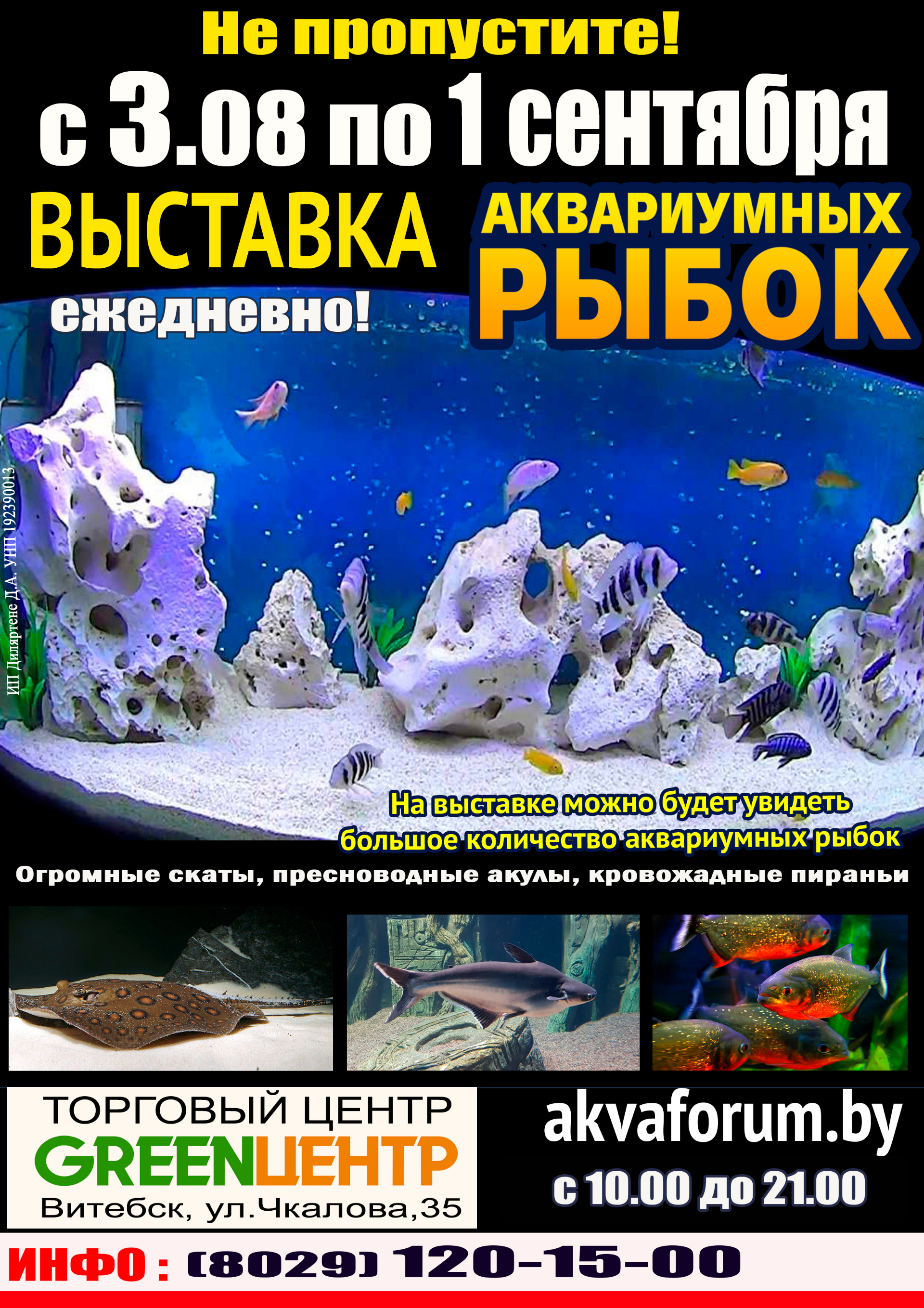 Выставка рыб. Выставка аквариумных рыб. Рыба Брест. Выставка рыб в Брянске Родина цена билета. Где купить билеты на выставку рыб.