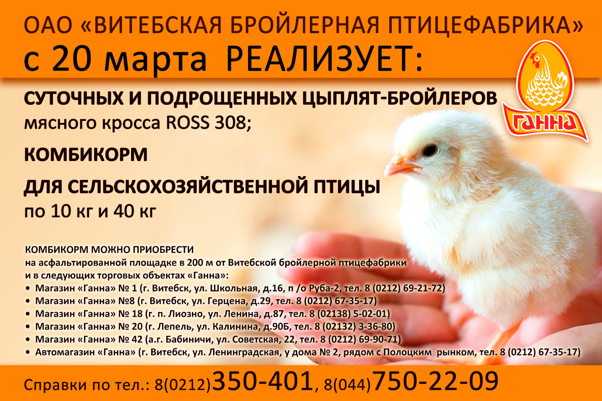 Купить цыплят в саратовской области