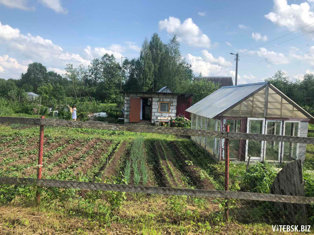 Купить Дачу В Глубокском Районе Витебской Области