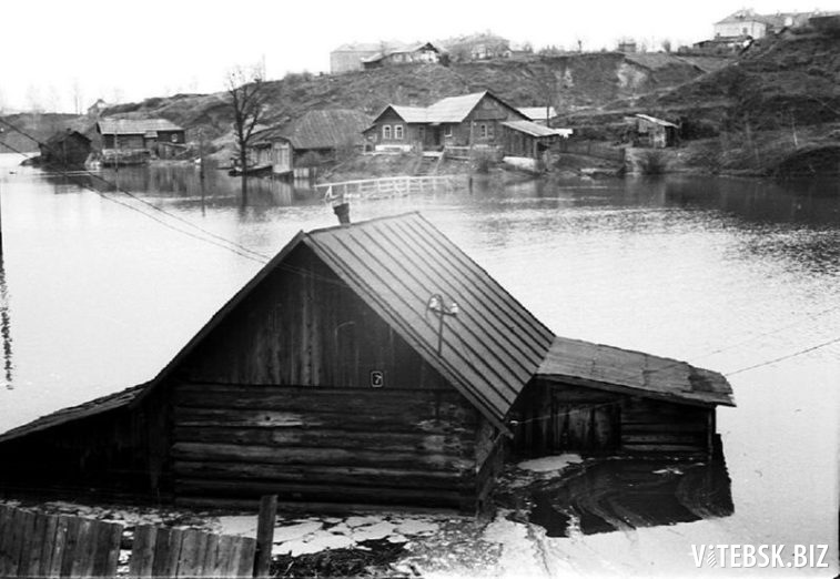 Разлив Витьбы там, где сейчас парк имени Фрунзе. 1950-е годы. Фото: «Таямніцы Віцебска»