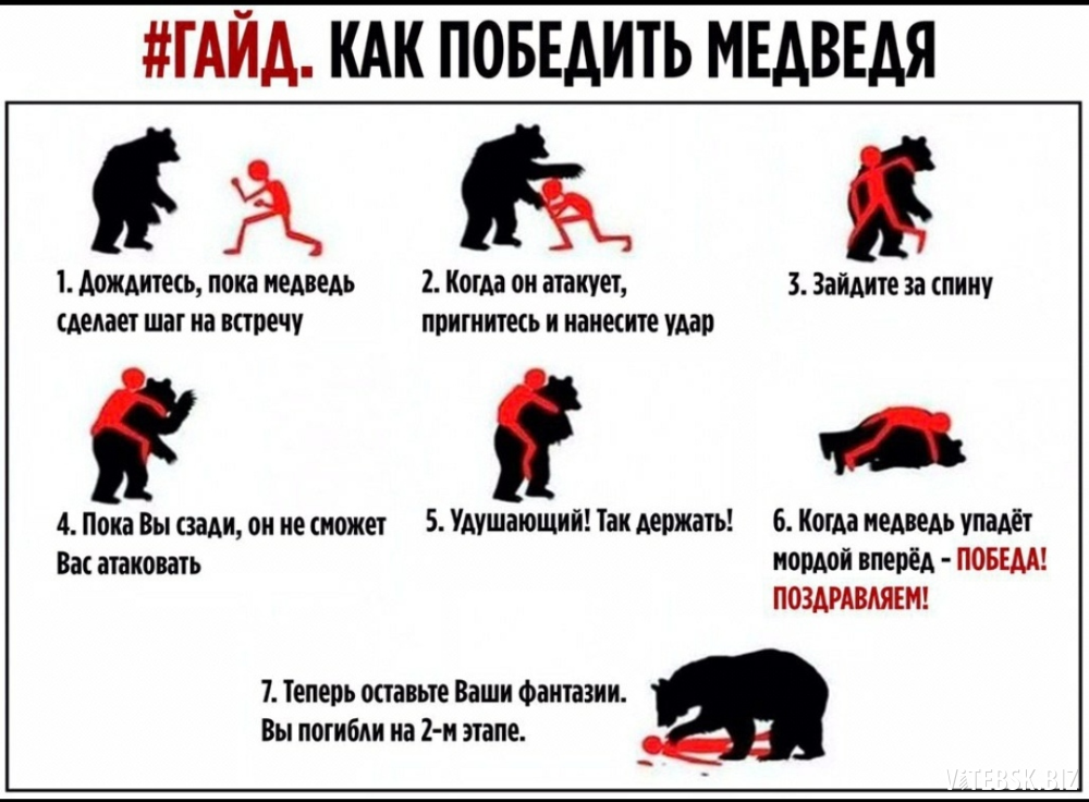 С русскими не справиться. Что делать если напал медведь. Как победить медведя Мем. Гайд как победить медведя. Шуточный гайды.