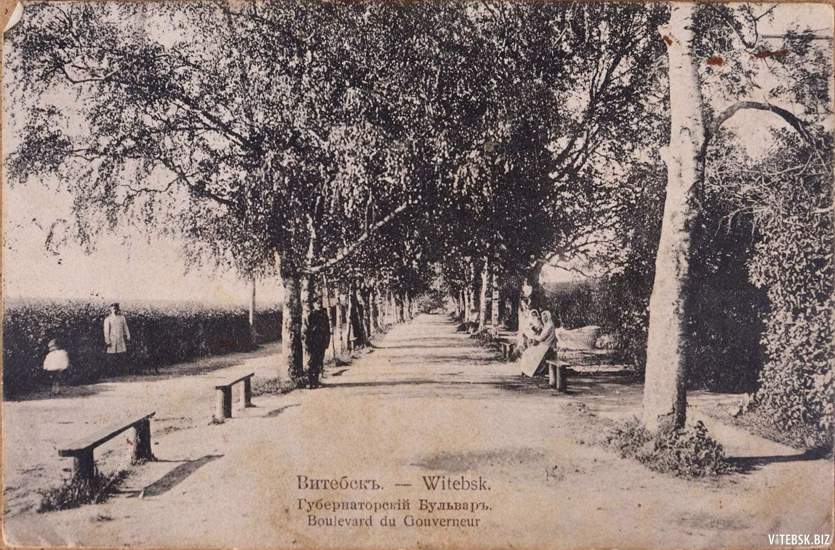 Губернаторский бульвар на открытке 1910 года