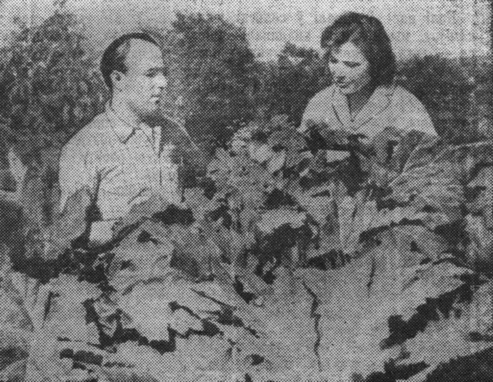 1964 год. Первый борщевик в совхозе Сиротинский. Ленінская праўда, 18 июля 1964 года