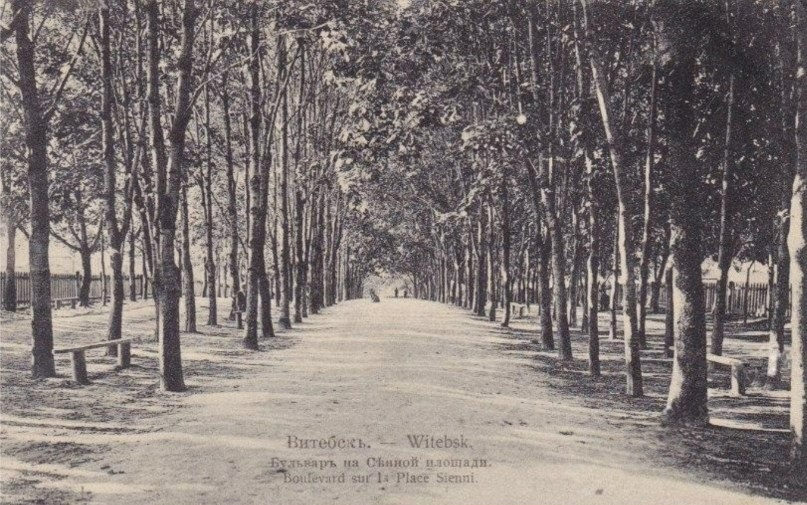 Бульвар на Сенной площади. Открытка начала ХХ века