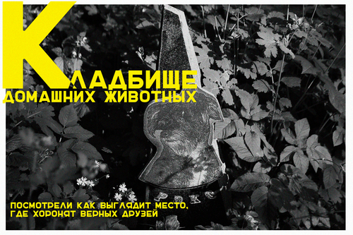 «Верному другу»: как выглядит кладбище домашних животных в Витебске
