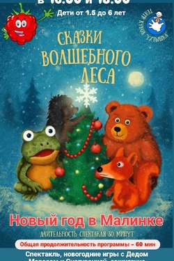 Новый год в «Малинке». Мастер-классы