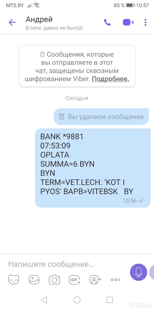 Надеюсь, что это всего лишь частный случай» — хотел отдать кота в приют для  бездомных животных