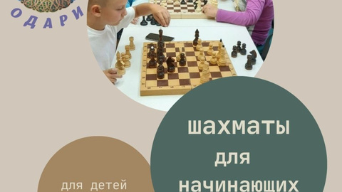 Шахматы для начинающих