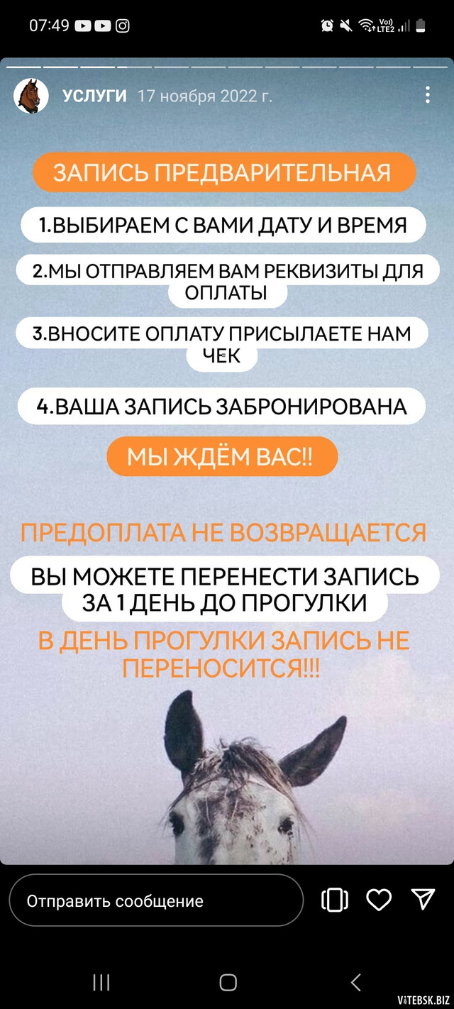 Конная прогулка в Витебске: как это было и где можно покататься верхом на  лошадях