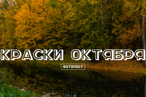 Краски октября в Витебске. Фотопост