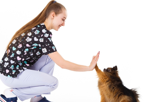 Pet-friendly культура в Витебске: говорим о дружелюбии к домашним животным вне дома