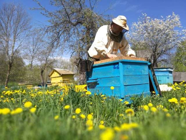 Содержание пчёл и уход за ними | Пчеловодство выходного дня